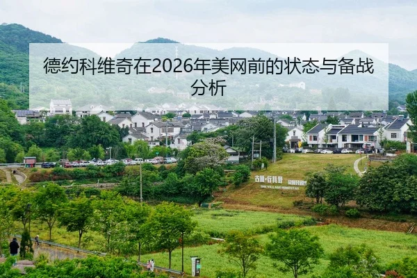 de-yue-ke-wei-qi-zai-nian-mei-wang-qian-de-zhuang-tai-yu-bei-zhan-fen-xi-2-902.jpg